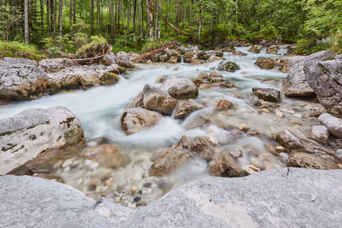 Gemeinde Ramsau Landkreis Berchtesgadener_Land Zauberwald am Hintersee (Dirschl Johann) Deutschland BGL